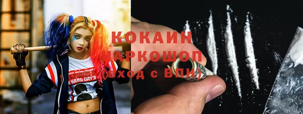 прущие грибы Богородицк