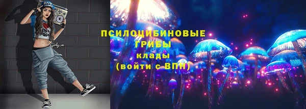 прущие грибы Богородицк