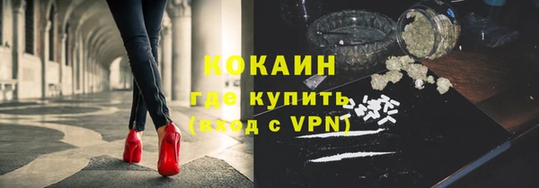 прущие грибы Богородицк