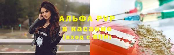 прущие грибы Богородицк