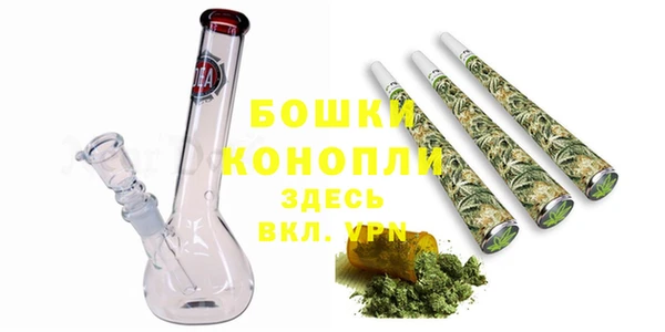 прущие грибы Богородицк