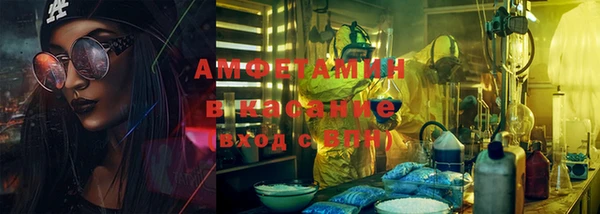 прущие грибы Богородицк