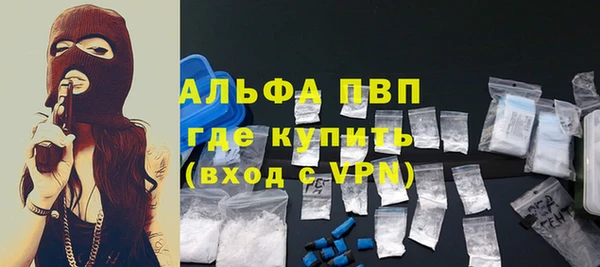 спиды Богданович