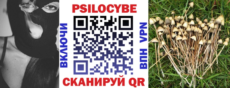 Псилоцибиновые грибы Psilocybine cubensis  Кущёвская 